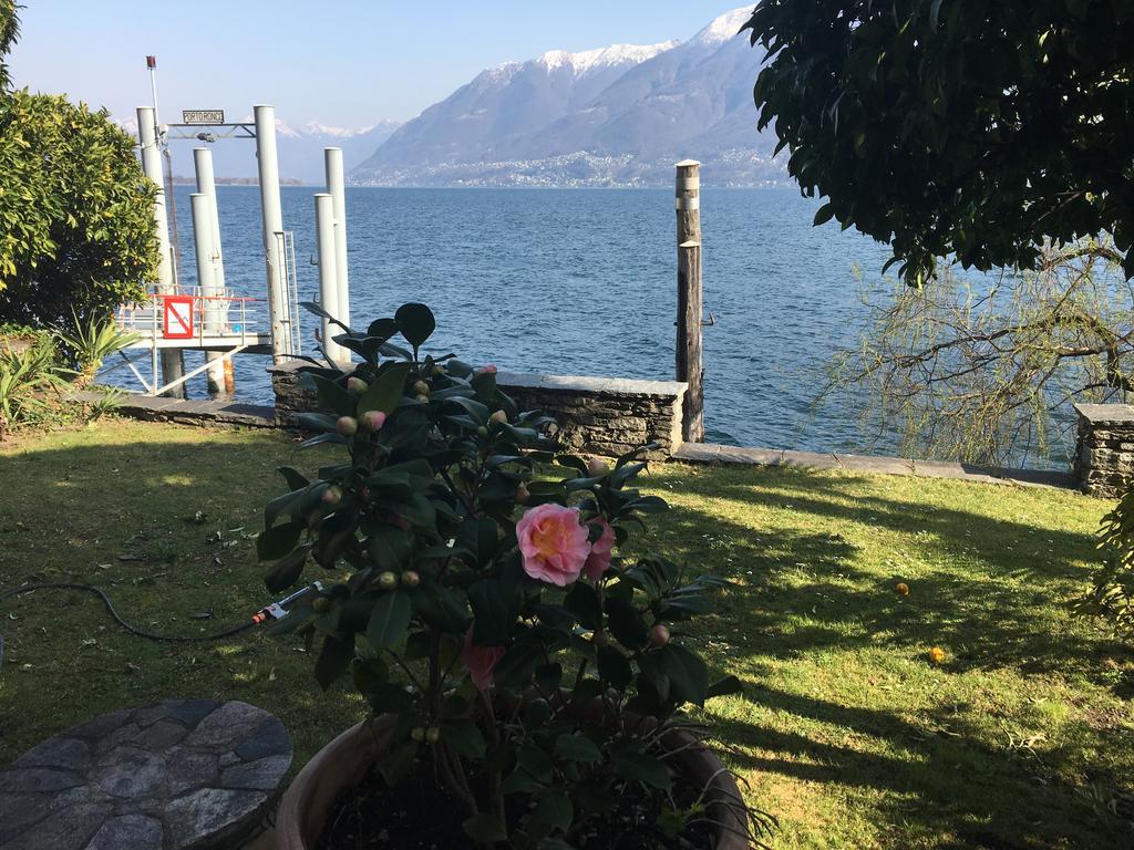 Apartments Posta Al Lago Ronco sopra Ascona Exterior foto
